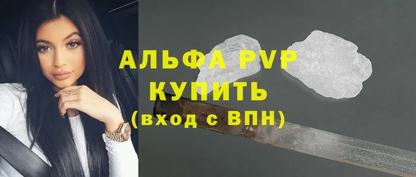 шишки Верхний Тагил